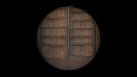 Clip #29825