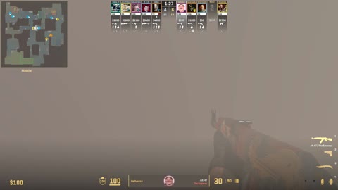 Clip #29867