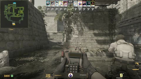 Clip #29872