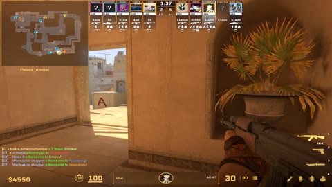 Clip #30049