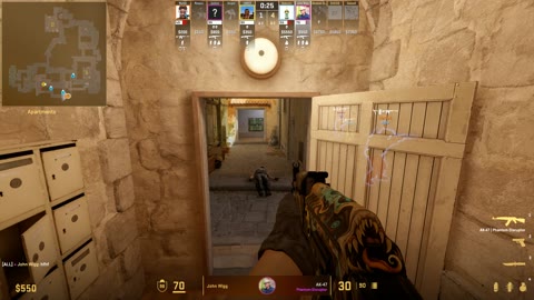 Clip #30206