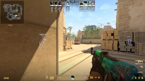 Clip #30300