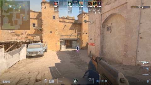 Clip #30313
