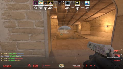 Clip #30493