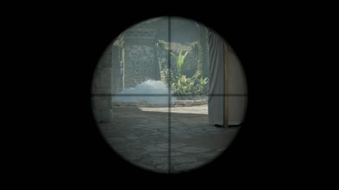 Clip #30833