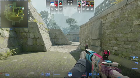 Clip #31225