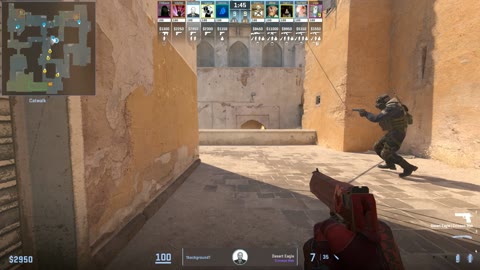 Clip #31528