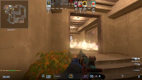Clip #31586