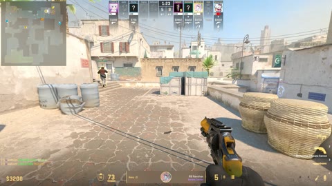 Clip #32225