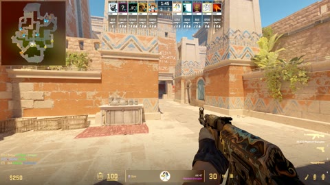 Clip #32425