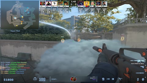 Clip #32797