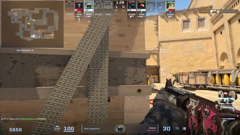 Clip #33338