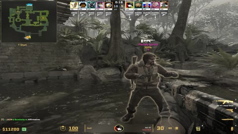 Clip #33446