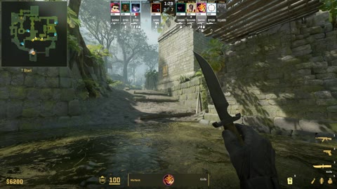 Clip #33689