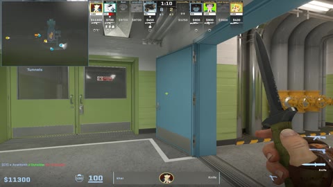 Clip #33717