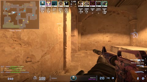 Clip #33787