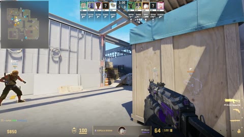 Clip #33981