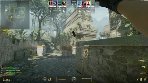 Clip #33984