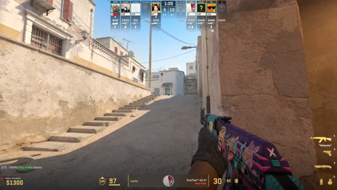 Clip #33991