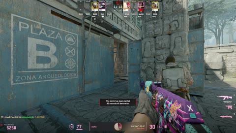 Clip #34005