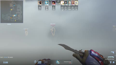 Clip #34142