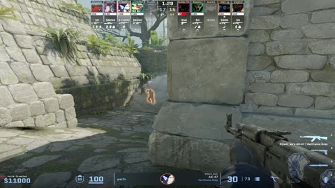 Clip #34390