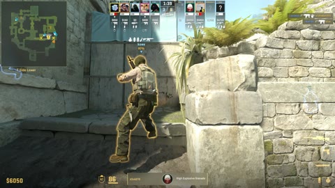 Clip #35325