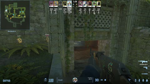 Clip #36293