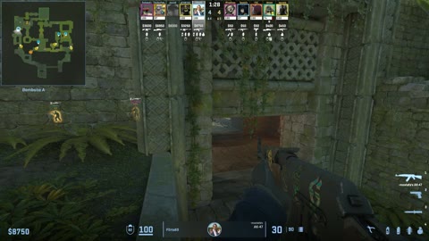 Clip #36367
