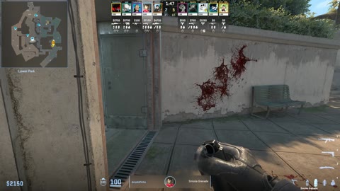 Clip #36386