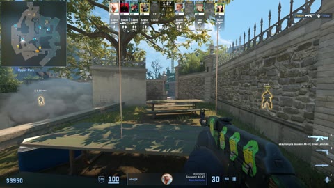Clip #36513