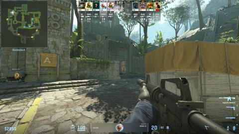 Clip #36524