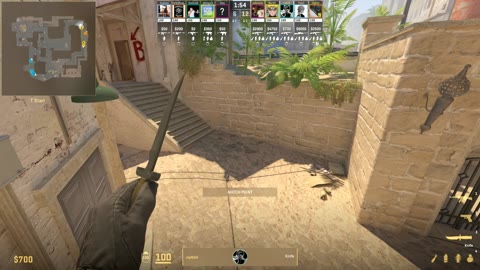 Clip #37110