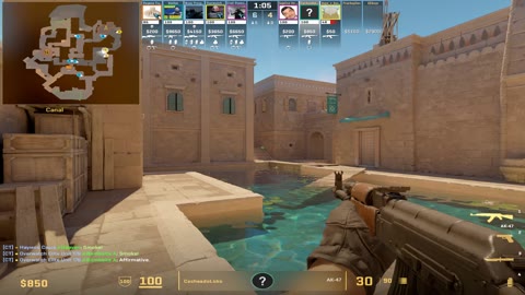 Clip #37502