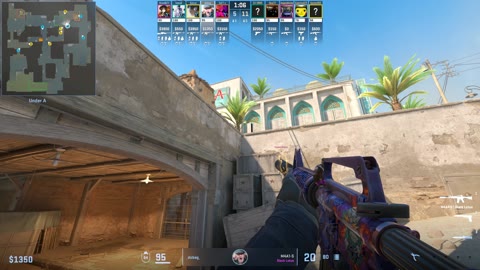 Clip #37902
