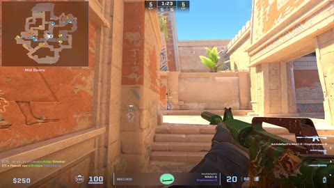 Clip #38069