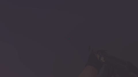 Clip #38220