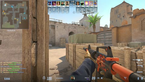 Clip #38305