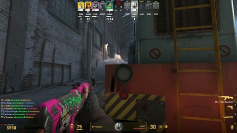 Clip #38339