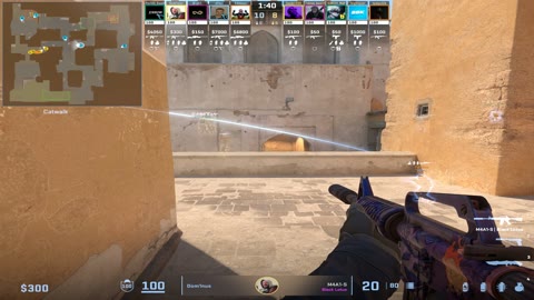 Clip #38356