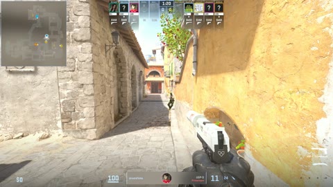 Clip #39091