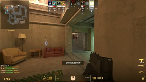 Clip #39289