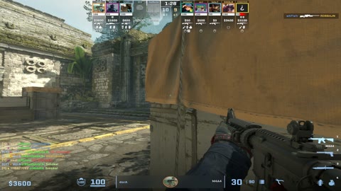 Clip #39310