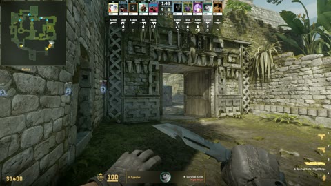Clip #39331