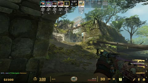 Clip #39333