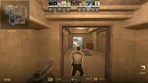 Clip #39454
