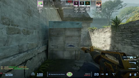 Clip #39693