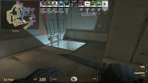 Clip #39775