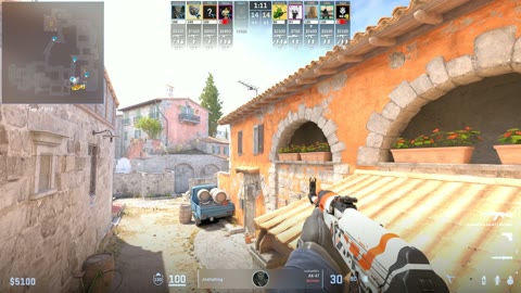 Clip #40022
