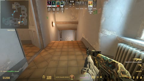 Clip #40457